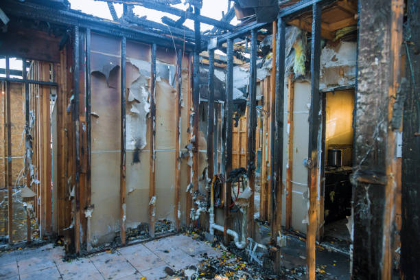 Professional Fire Damage Removal technician working in Wagner, SD